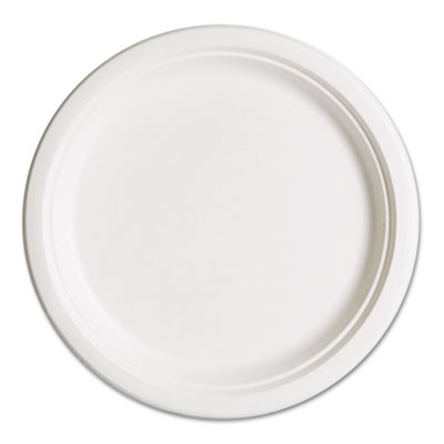 Compostable Sugarcane Dinnerware, 10" Plate, Natural White