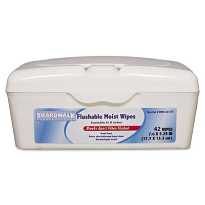 Personal Moist Towelettes Tub, 42 Sheets/Tub