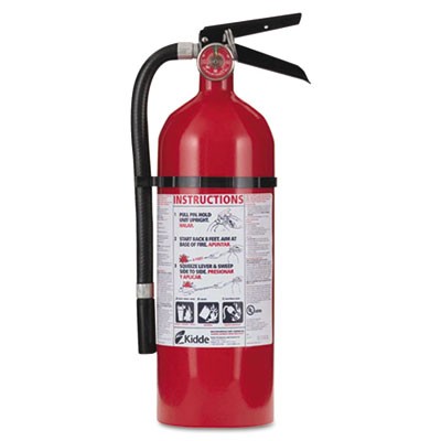Pro 210 Consumer Fire Extinguisher, 2-A,10-B