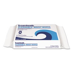 Personal Moist Towelettes Refill, 42 Sheets