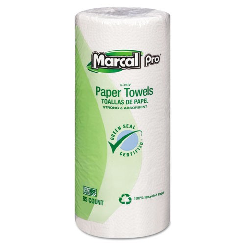 Perforated Kitchen Roll Towels, White, 2-Ply, 9" x 11", 85/Roll