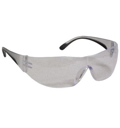 Safety Glasses Clear Frames Bifocal Diopter +1.0 12/BX 12/C