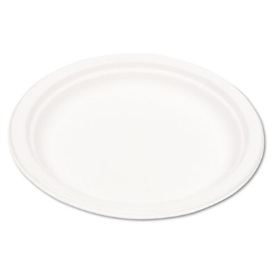 Compostable Sugarcane Dinnerware, 9" Plate, Natural White