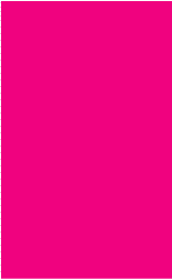 Color Code Labels>rectangles 2" x 3¼" (fluor. pink) 500/RL
