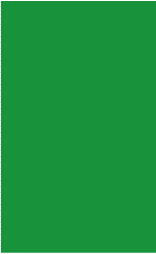 Color Code Labels>rectangles 2" x 3¼" (green) 500/RL