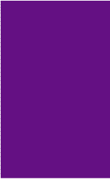 Color Code Labels>rectangles 2" x 3¼" (purple) butt cut 500/RL