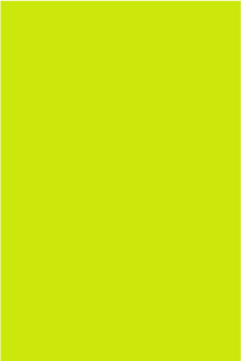 Color Code Labels - large rectangles 3" x 6" (fluor. green) 500/RL