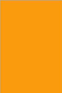 Color Code Labels - large rectangles 3" x 6" (fluor. orange) 500/RL