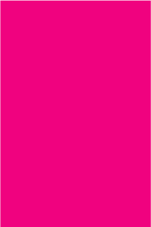 Color Code Labels - large rectangles 3" x 6" (fluor. pink) 500/RL