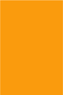 Color Code Labels - large rectangles 3" x 10" (fluor. orange) 250/RL