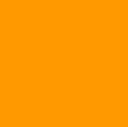 Color Code Labels - squares 2½" x 2½" (fluor. orange) 500/RL