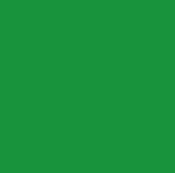 Color Code Labels - squares 4" x 4" (green) 500/RL