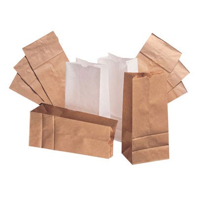 20# Paper Bag, 40-Pound Base Weight, White, 8-1/4x5-5/16x16-1/8, 500-Bundle