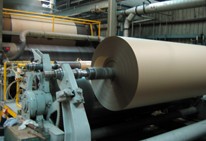 Paper Caseline 36"x200YD (600') 30/30/30 54#/RL 25/PLT