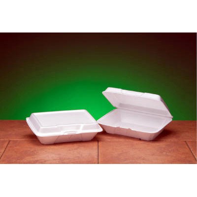 Foam Hinged Carryout Container, Shallow, 9-1/5x6-1/2x2-8/9, White, 100/Bag