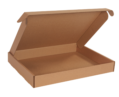 RELF/DF 20x16x2.5 Kraft Deluxe Literature Mailer 25/BDL