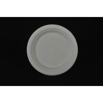 ChampWare Heavyweight Bagasse Dinnerware, Plate, 9", White