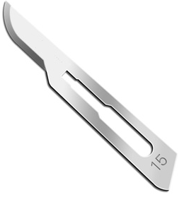 Blade #15 SS Disp ST 100/BX