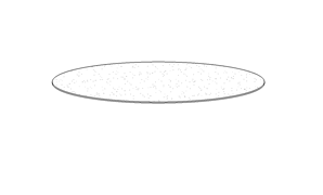 Tyvek 4.25" Diameter Circle Interleaf 250/PK