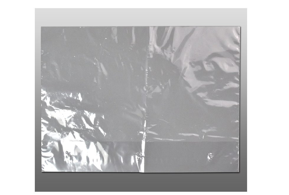 Bag Polypropylene Gusset 11x3.5x8.25 1Mil Co-Ex Vented Lettuce 1000/CS