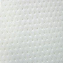 Wipe Cell/Polpro 8x9 Superabsorbent 100/BG 12/CS