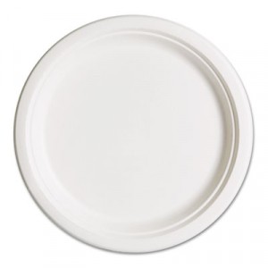 Compostable Sugarcane Dinnerware, 10" Plate, Natural White