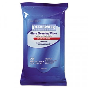 Glass Wipes, 10x7, 28 Wipes/Pack