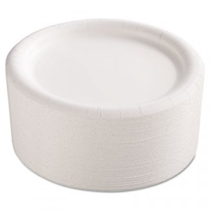 Premium Coated Paper Plates 9 Inches White Round 125/Pack