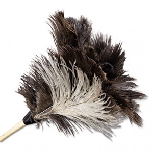 Duster 13" Economy Ostrich Feather Wood Handle