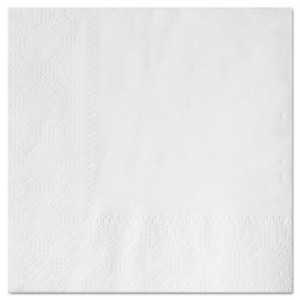 Beverage Napkins, Two-Ply 9 1/2" x 9 1/2", White, Embossed