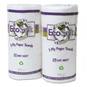 EcoSoft Household Roll Towels, 11x9, White, 90/Roll