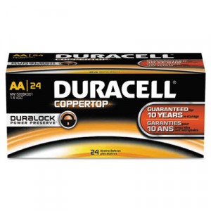 CopperTop Alkaline Batteries with Duralock Power Preserve Technology, AA
