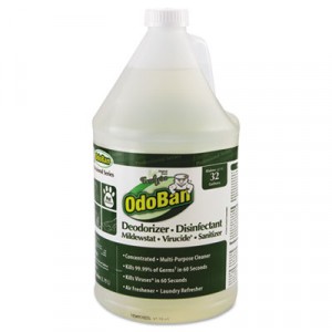 Concentrated Odor Eliminator, Eucalyptus, 1 Gal, Bottle