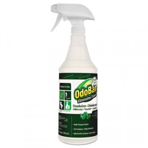Professional Series Deodorizer Disinfectant, 32oz Spray Bottle, Eucalyptus Scent