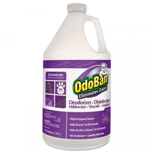 Professional Series Deodorizer Disinfectant, 1gal Bottle, Lavender Scent