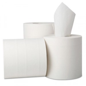 EcoSoft Centerpull Roll Towels, 2-Ply, 7x12, 600 ft, White