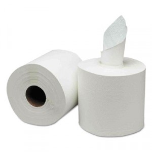 Center-Pull Paper Towels, 8w x 10l, White, 600/Roll