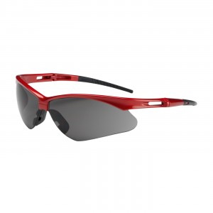 Anser, Gry Lens, Red Frm, Rubber Tmpl Tips, Incl Neck Cord