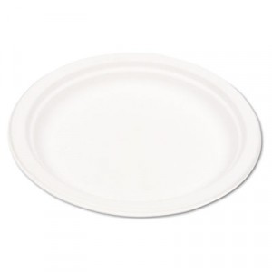 Compostable Sugarcane Dinnerware, 9" Plate, Natural White
