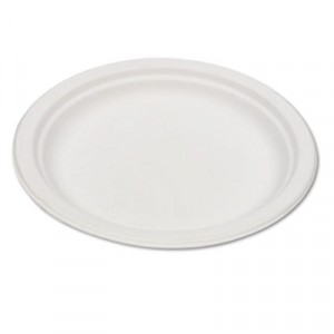 Compostable Sugarcane Dinnerware, 6" Plate, Natural White