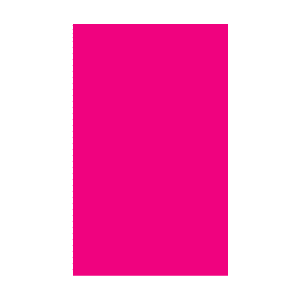 Color Code Labels>rectangles 2" x 3¼" (fluor. pink) 500/RL