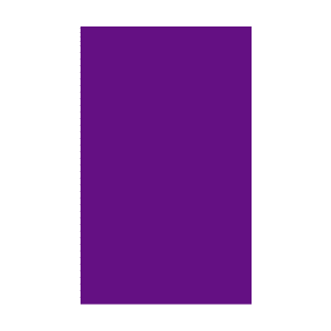 Color Code Labels>rectangles 2 1/2" x 4" (purple) 500/RL