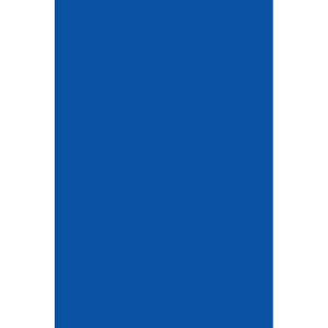 Color Code Labels - large rectangles 3" x 6" (blue) 500/RL