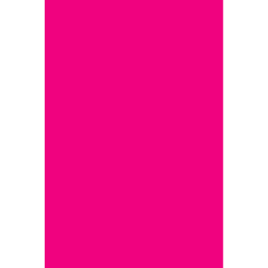 Color Code Labels - large rectangles 3" x 6" (fluor. pink) 500/RL
