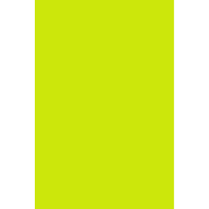 Color Code Labels - large rectangles 3" x 10" (fluor. green) 250/RL