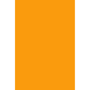 Color Code Labels - large rectangles 4" x 6" (fluor. orange) 500/RL