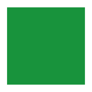 Color Code Labels - squares 4" x 4" (green) 500/RL