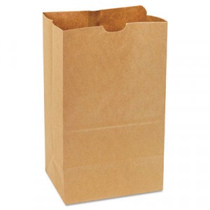20# Squat Paper Bag, Heavy-Duty, Brown Kraft, 8-1/4x5-15/16x14-3/8, 500-Bundle