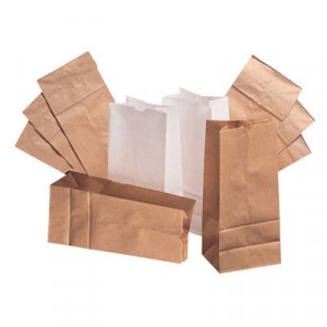 20# Squat Paper Bag, 40-lb Base, White, 8-1/4x5-15/16x14-3/8, 500-Bundle