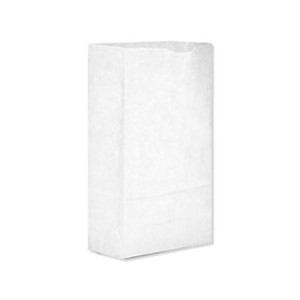 Bag Paper 6x3.63x11.06 #6 White 500/CS